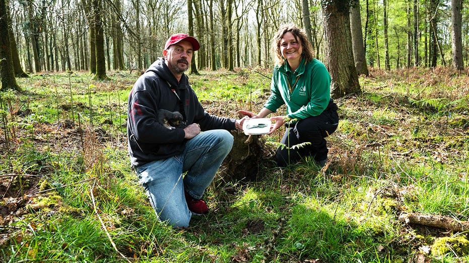 Dog walker's routine stroll turns into 'incredible' 3,000-year-old discovery in picturesque forest Melbourne School